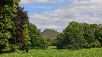 Bunster hill and fields.jpg